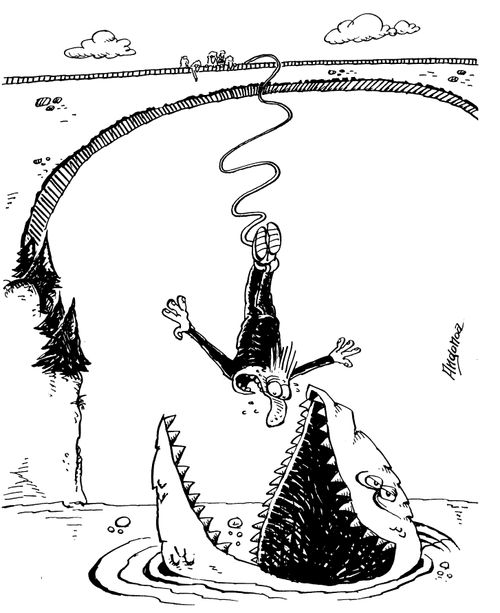Man bungy jumping into jaws of shark