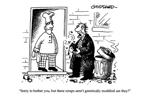 "Sorry to bother you, but these scraps aren't genetically modified are they"