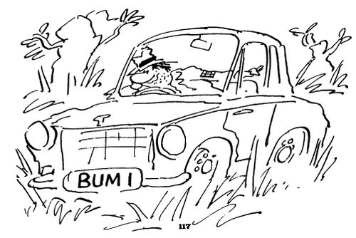 BUM 1