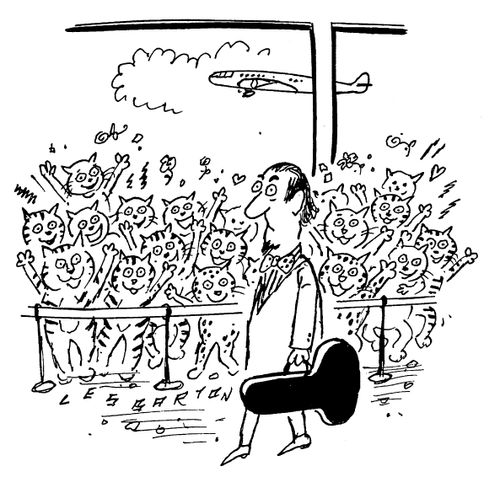 Violinist welcomed by cats