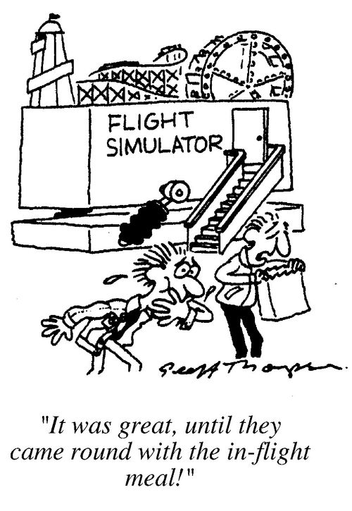 Flight Simulator,"It was great until they came round with the in-flilght meal."