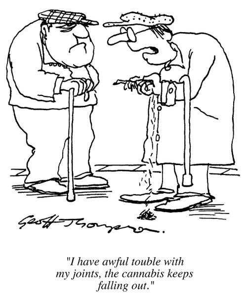 Old men,"I have terrible trouble with my joints..the cannabis keeps falling out."