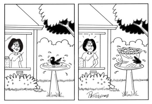 Bird Bath.