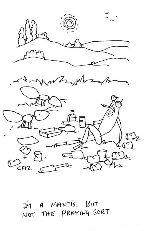 'I'm a mantis. but not the praying sort.'