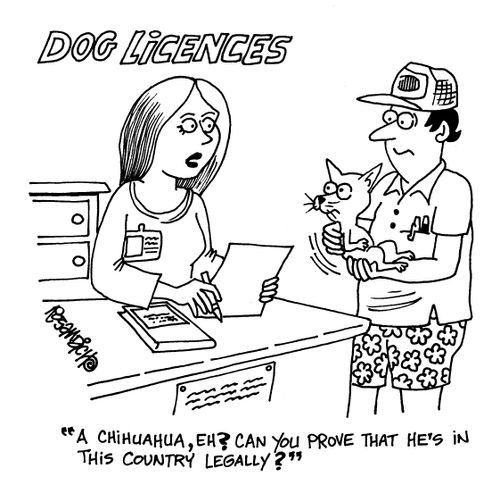 Dog licences - 'A Chihuahua, eh? Can you prove that he's in this country legally?'