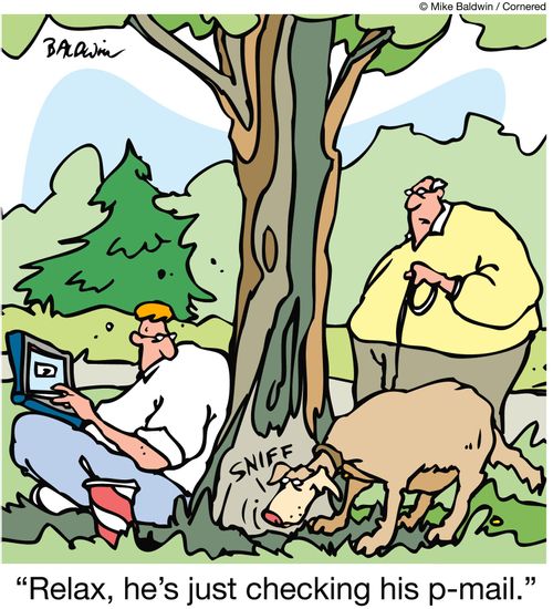 "Relax, he's just checking his p-mail."