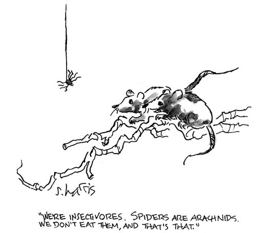 'We're insectivores. Spiders are arachnids. We don't eat them, and that's that.'