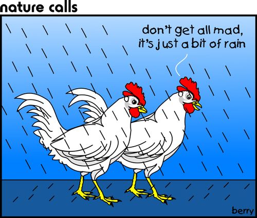 "Don't get all mad, it's just a bit of rain."