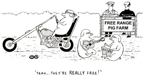 "Yeah, they're really free!"