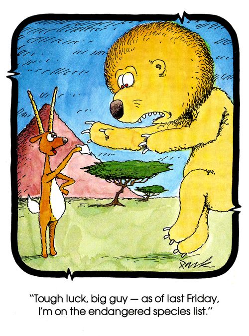 'Tough luck, big guy - as of last Friday, I'm on the endangered species list.'