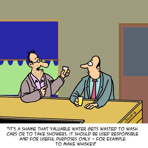 'It's a shame that valuable water gets wasted to wash cars or to take showers. It should be used responsible and for useful purposes only - for example to make whiskey.'