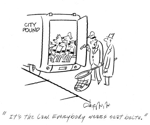 'It's the law. Everybody wears seat belts.'