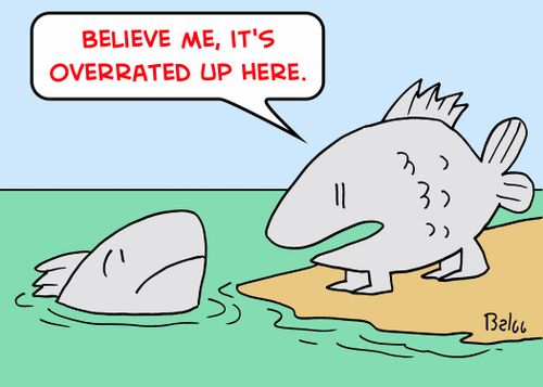 'Believe me, it's overrated up here.'