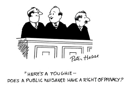 'Here's a toughie - does a public nuisance have a right of privacy?'