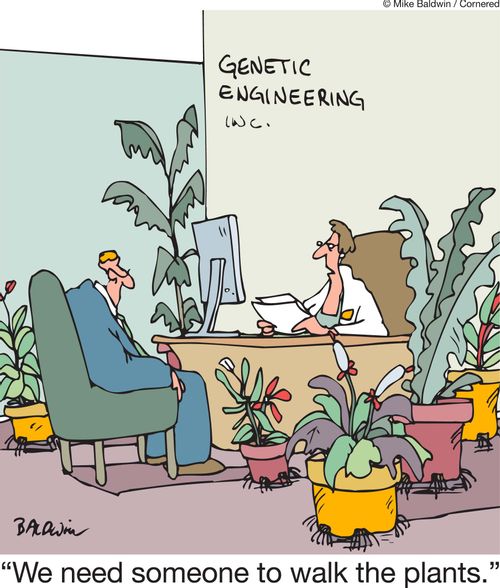 'We need someone to walk the plants.'