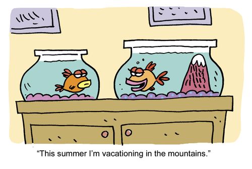 Fish Vacation