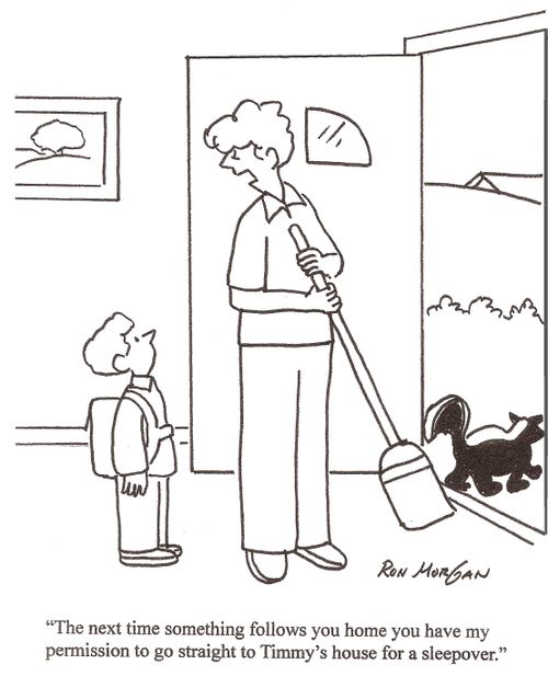 'The next time something follows you home, you have my permission to go straight to Timmy's house for a sleepover.'