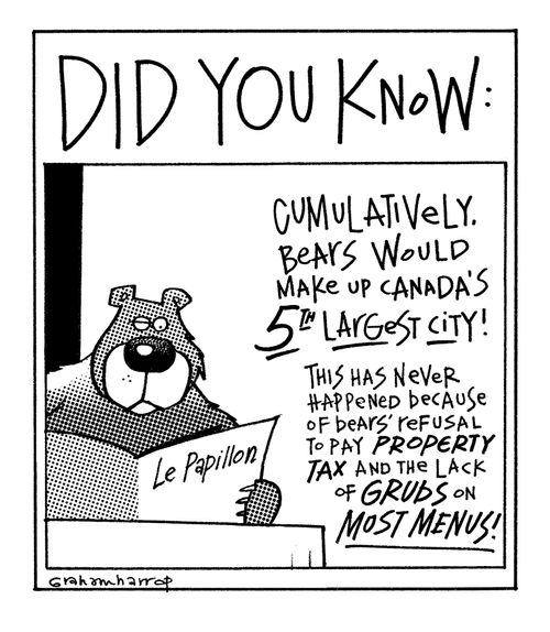 Large bear population in Canada.