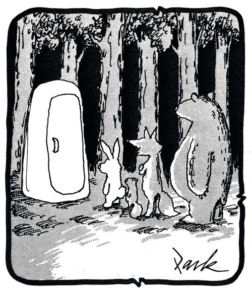 public toilet in the woods