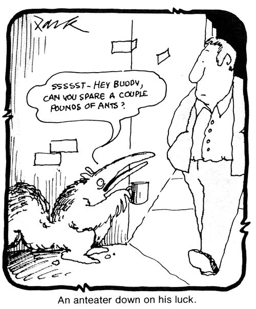 An anteater down on his luck.