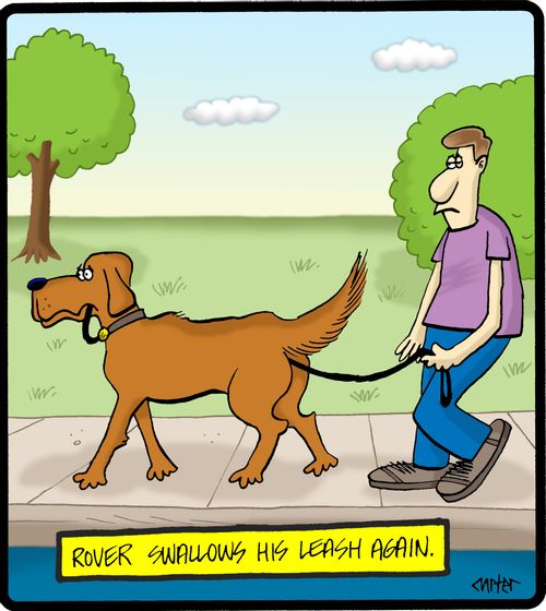 Rover swallows his leash again.