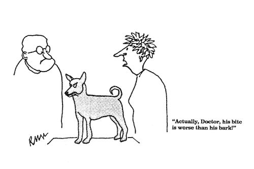 'Actually, Doctor, his bite is worse than his bark!'