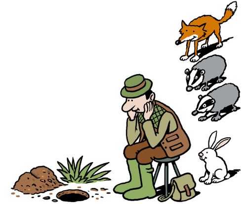 A farmer waiting for animal to surface, watched by a fox, rabbit and badgers.