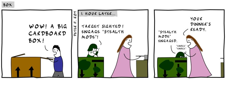 'Wow! A big cardboard box!' - 'Target sighted! Engage 'stealth mode'' - 'Your dinner's ready.'