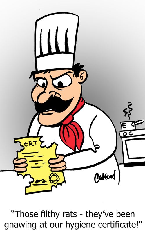 'Those filthy rats - they've been gnawing at our hygiene certificate!'