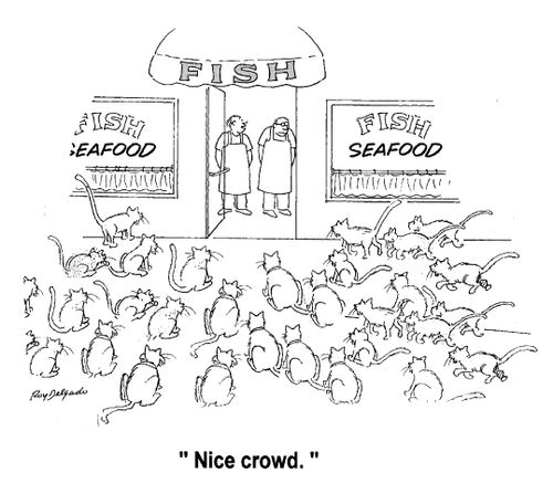'Nice crowd.'