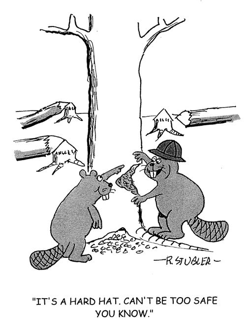 'It's a hard hat. Can't be too safe you know.'