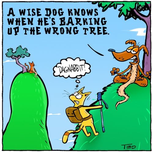 'A wise dog knows when he's barking up the wrong tree.'