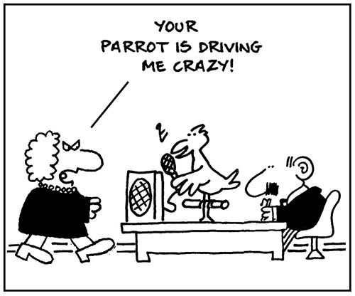 'Your parrot is driving me crazy.'