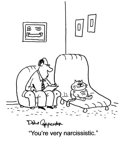 'You're very narcissistic.'