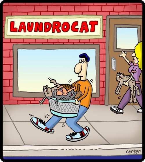 Laudrocat