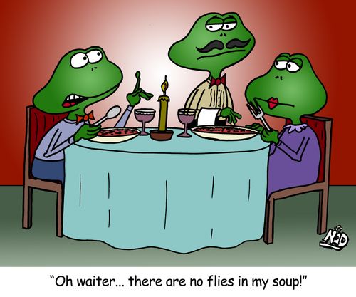 'Oh waiter... there are no flies in my soup!'