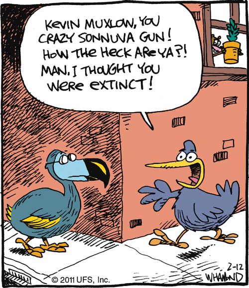 'Kevin Muxlow, you crazy sonnuva gun! How the heck are ya! Man, I thought you were extinct!'