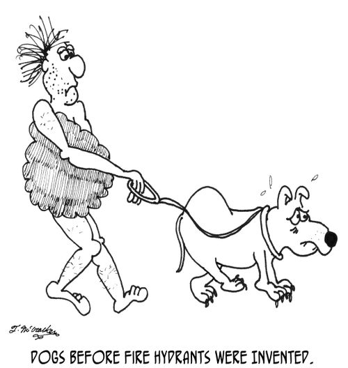 Dogs before fire hydrants were invented.