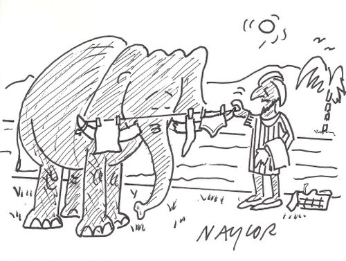 Elephant clothes line.