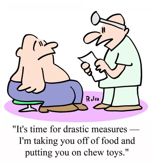 'It's time for drastic measures - I'm taking you off food and putting you on chew toys.'