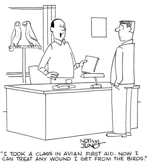'I took a class in avian first aid. Now I can treat any wound I get from the birds.'