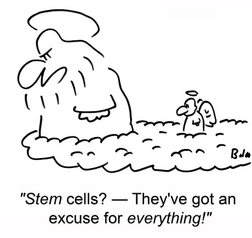 'Stem cells? -- They've got an excuse for everything!'
