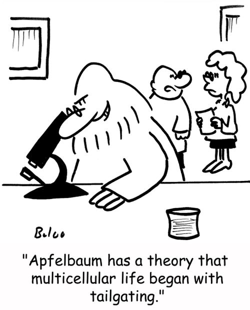 'Apfelbaum has a theory that multicellular life began with tailgating.'