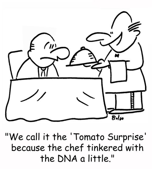 'We call it the 'Tomato Surprise' because the chef tinkered with the DNA a little.'