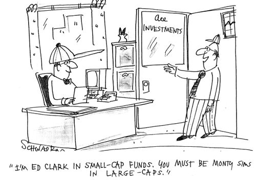 Large cap funds