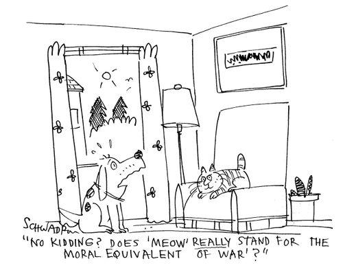 'Does 'Meow' really stand for the 'Moral Equivalent Of War?''