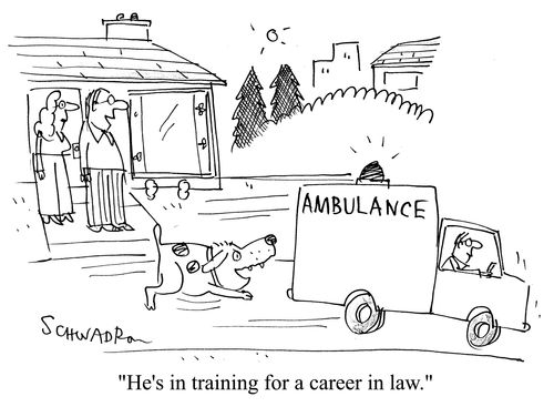 'He's training for a career in law.'