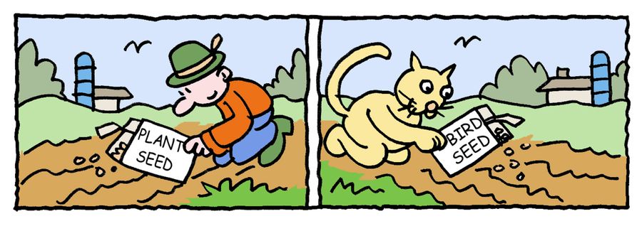 Man sowing plant seed Cat sowing bird seed.