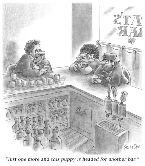 'Just one more and this puppy is headed for another bar.'