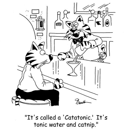 'It's called a 'Catatonic.' It's tonic water and catnip.'